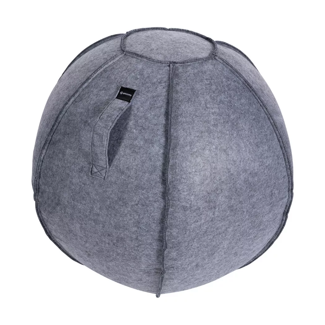 Ergovia - Schutzhülle für Gymnastik-/Yogaball swissball  Omada, One Size, Schwarz