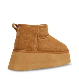 STEVE MADDEN  scarponcini da campfire 