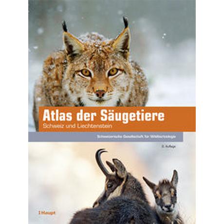 Atlas der Säugetiere - Schweiz und Liechtenstein Schweizerische Gesellschaft für Wildtierbiologie (SGW) (Editor) Copertina rigida 