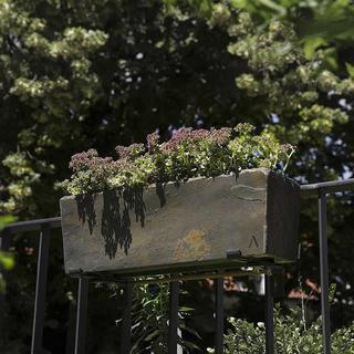 Climaqua Blumenkasten aus Schiefer Stein JARDI 50 Rusty  