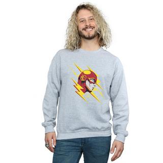 DC COMICS  Sweatshirt 