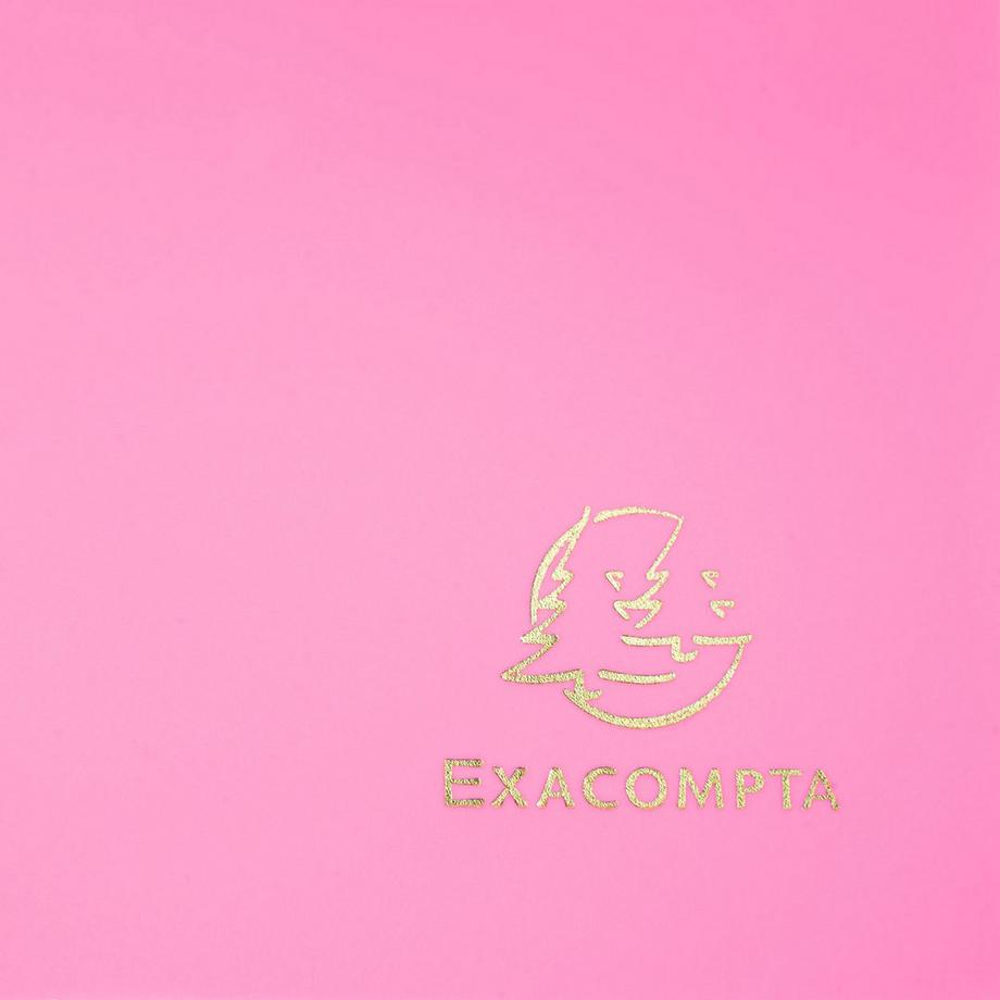 Exacompta Sammelmappe mit Gummizug und 3 Klappen, aus PP 400µ, Eco, blickdicht, für Format DIN A4 - x 30  