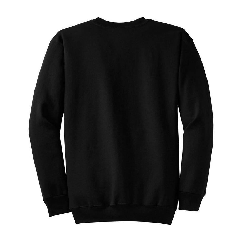 DC COMICS  Flash TV Star Laboratories Sweatshirt 