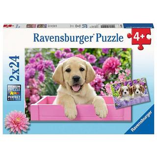 Ravensburger  Puzzle Freunde mit Fell (2x24) 