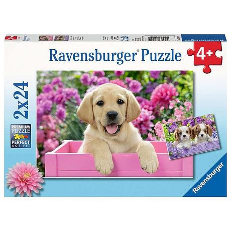 Ravensburger  Puzzle Freunde mit Fell (2x24) 