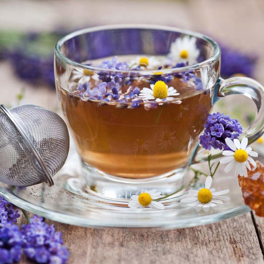 Gastroback Wasserkocher Colour Vision Pro 1.5L  