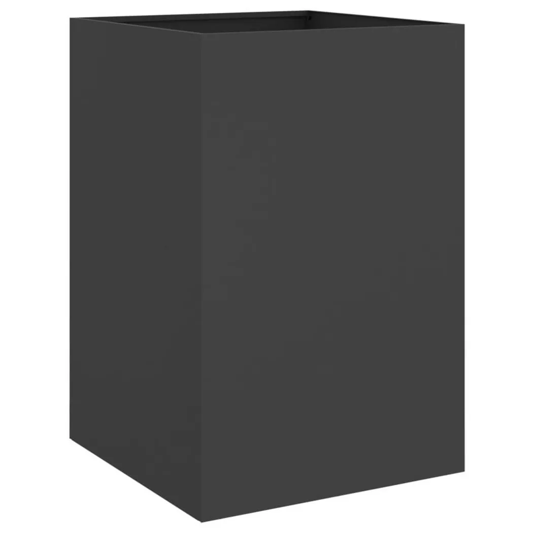 VidaXL - Jardinière acier, One Size, Noir