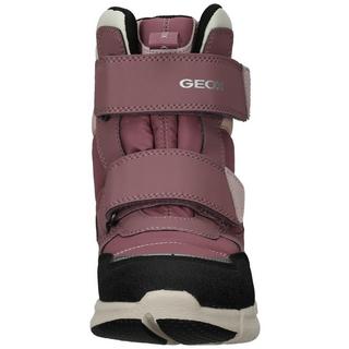 GEOX  Bottines 