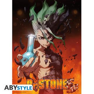 Abystyle Poster - Flat - Dr. Stone - Senku  