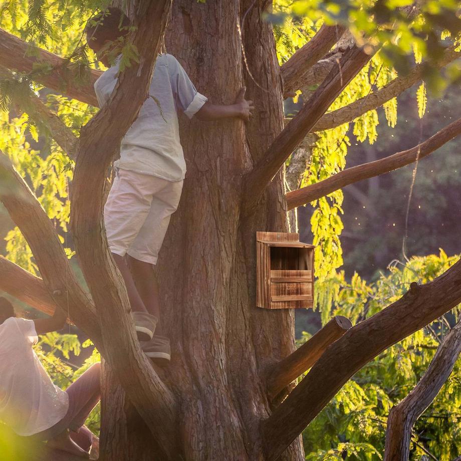 B2X  Nistkasten für Vögel, die in Halbhöhlen nisten 