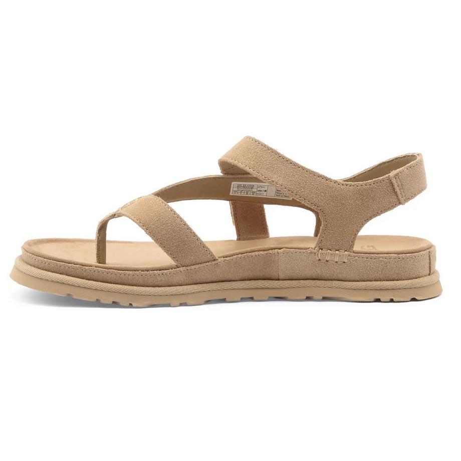 UGG GoldenGaze Toe Post Sandale  