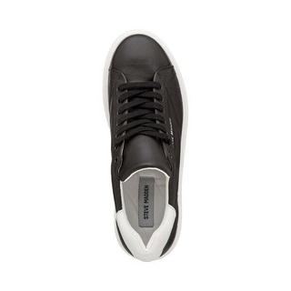 STEVE MADDEN  Scarpe da ginnastica  Fynner 