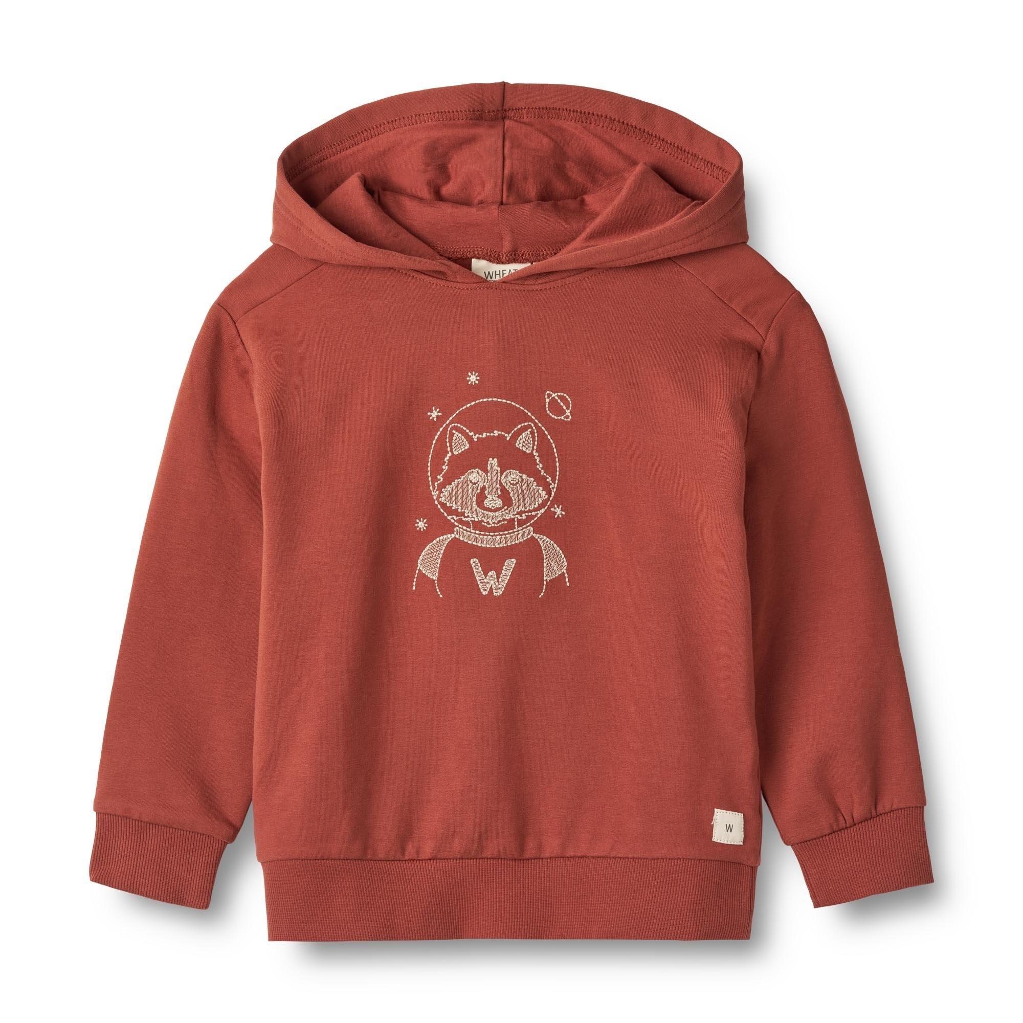 Image of Jungen Pullover Waschbär Im Weltraum Jungen Rot 110