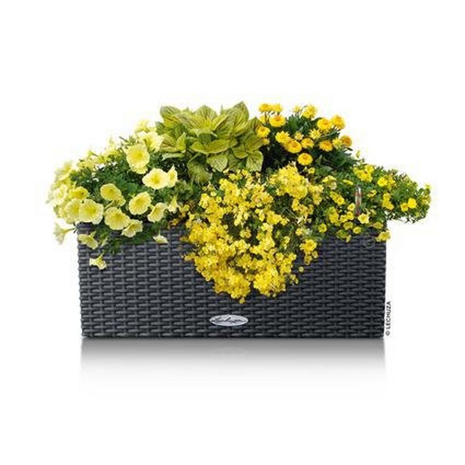 Lechuza BALCONERA Cottage  