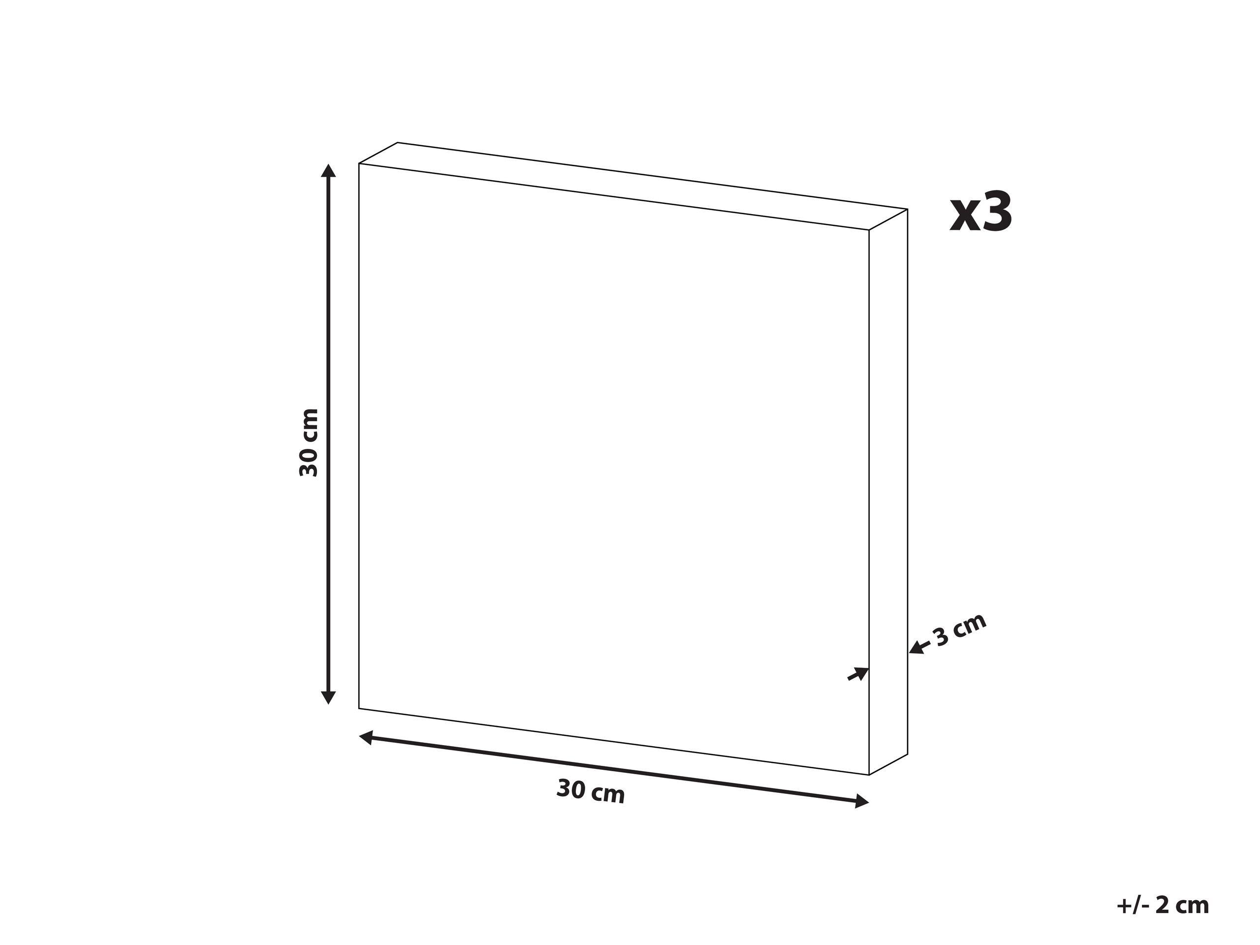 Beliani Lot de 3 toiles en Tissu Moderne MENAKA  