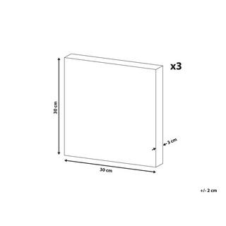 Beliani Lot de 3 toiles en Tissu Moderne MENAKA  