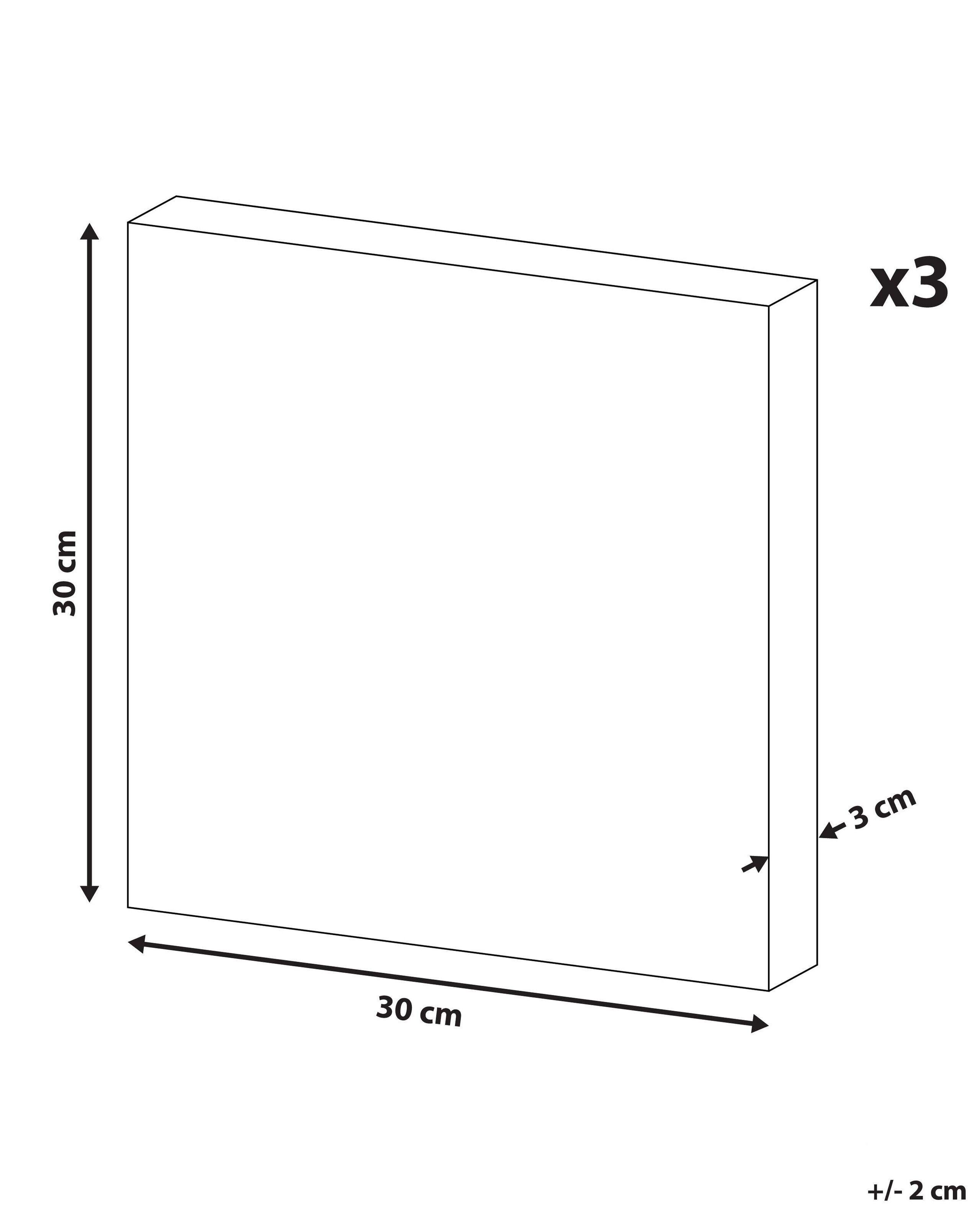 Beliani Lot de 3 toiles en Tissu Moderne MENAKA  