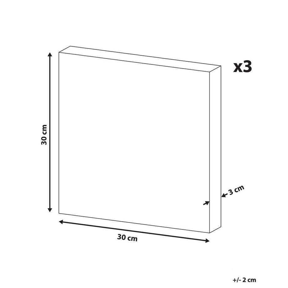 Beliani Leinwand 3er Set aus Stoff Modern MENAKA  