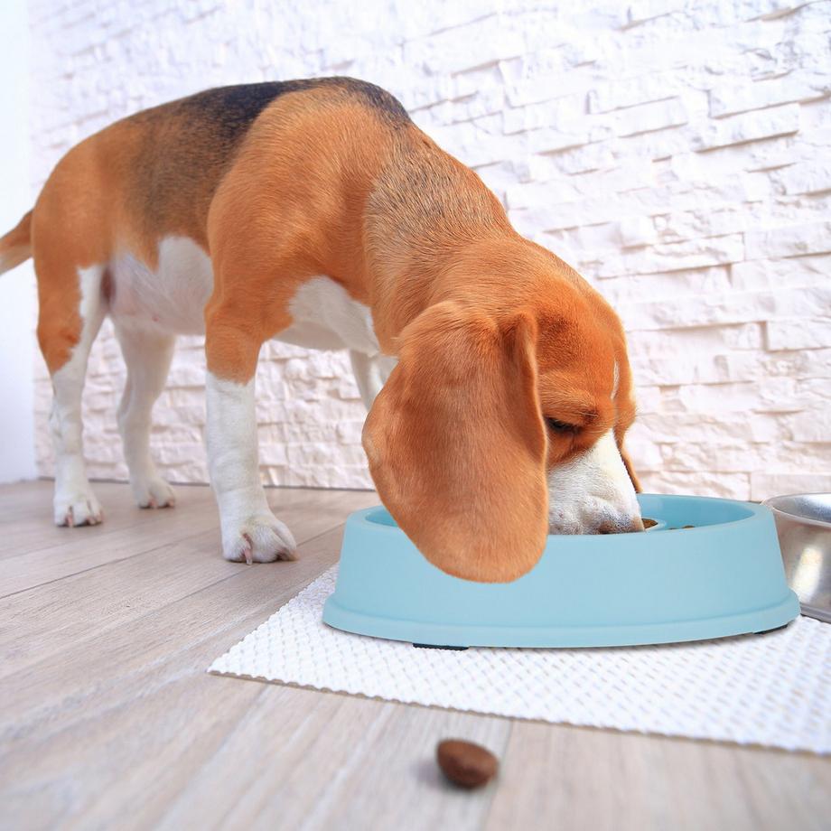 B2X  Anti-Schlingschüssel 650 ml 