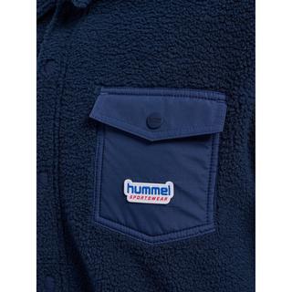 Hummel  polaire 