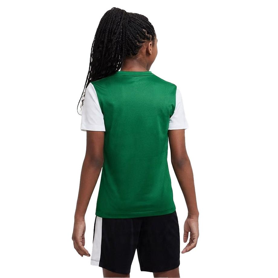 NIKE  T-ShirtTiempo Premier 