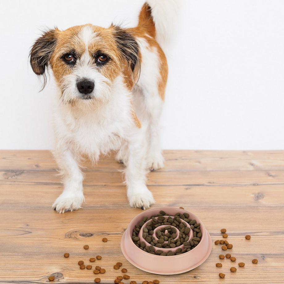 B2X  Anti-Schleuder-Schüssel 400 ml 