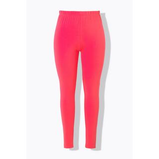 Ulla Popken  Legging en coton avec taille élastique, coupe Slim 