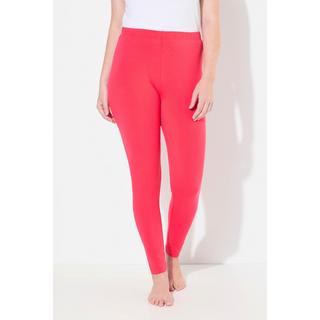 Ulla Popken  Legging en coton avec taille élastique, coupe Slim 