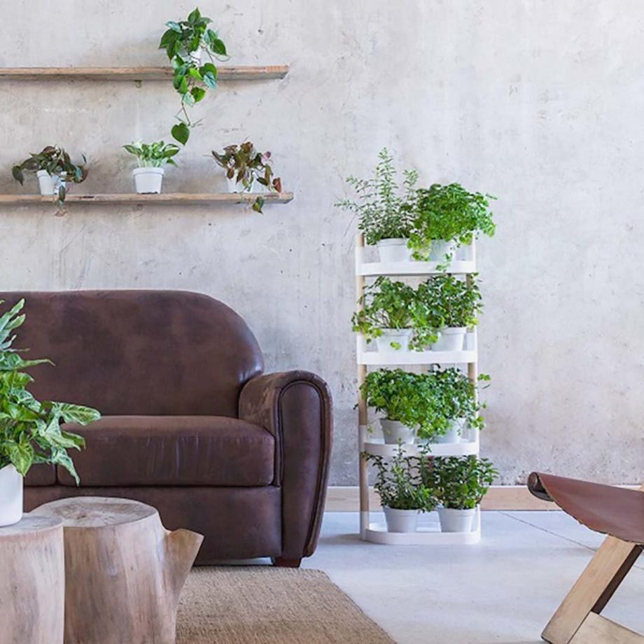 CitySens Pflanzenregal  