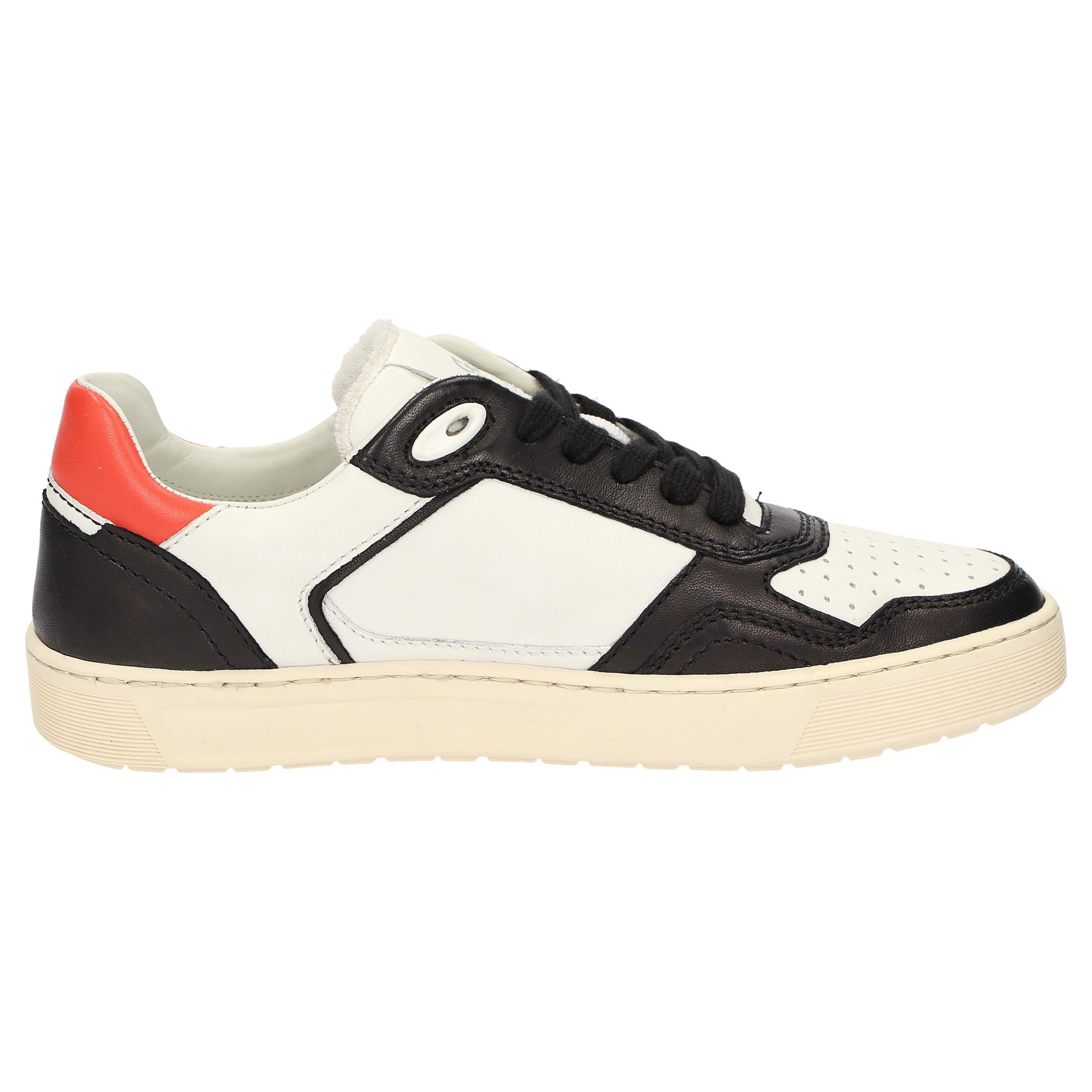 Sioux  Sneaker Tedroso-DA-700 