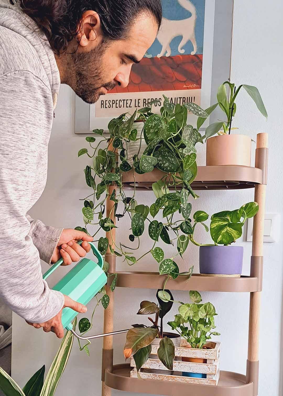 CitySens Tablettes pour plantes  