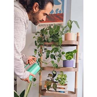 CitySens Tablettes pour plantes  