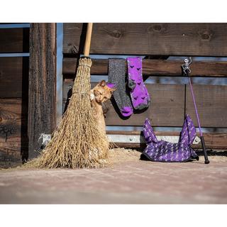 QHP  paires chaussettes équitation halloween (x2) 