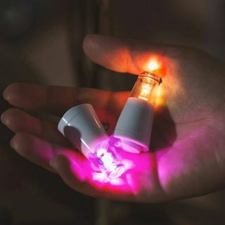 HOOT LED-Flaschenlicht "Leuchtende Korken" (2er Pack)  