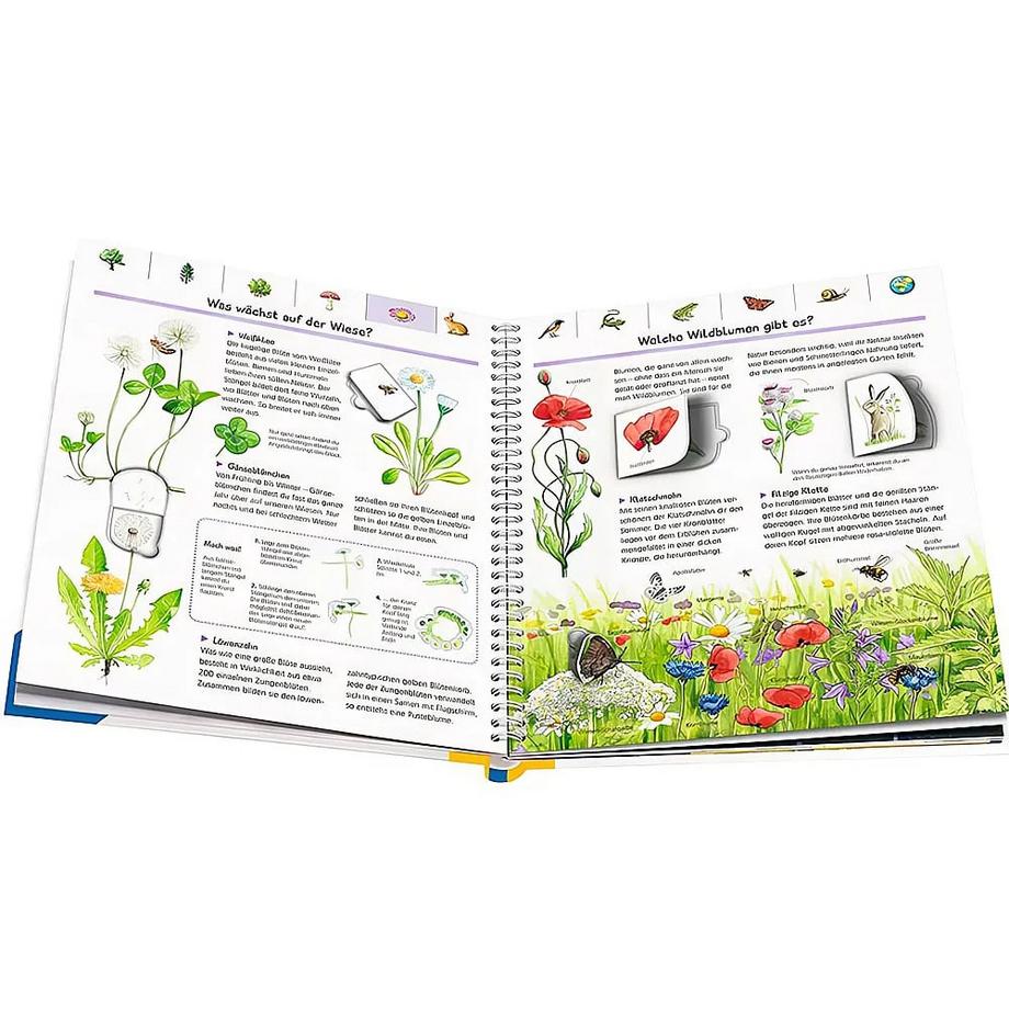 Wieso? Weshalb? Warum?: Mein großes Natur-Lexikon Noa, Sandra; von Hacht, Esther (Illustrationen); Henkel, Christine (Illustrationen); Walentowitz, Steffen (Illustrationen); Pahlke, Tobias (Illustrationen) Gebundene Ausgabe 