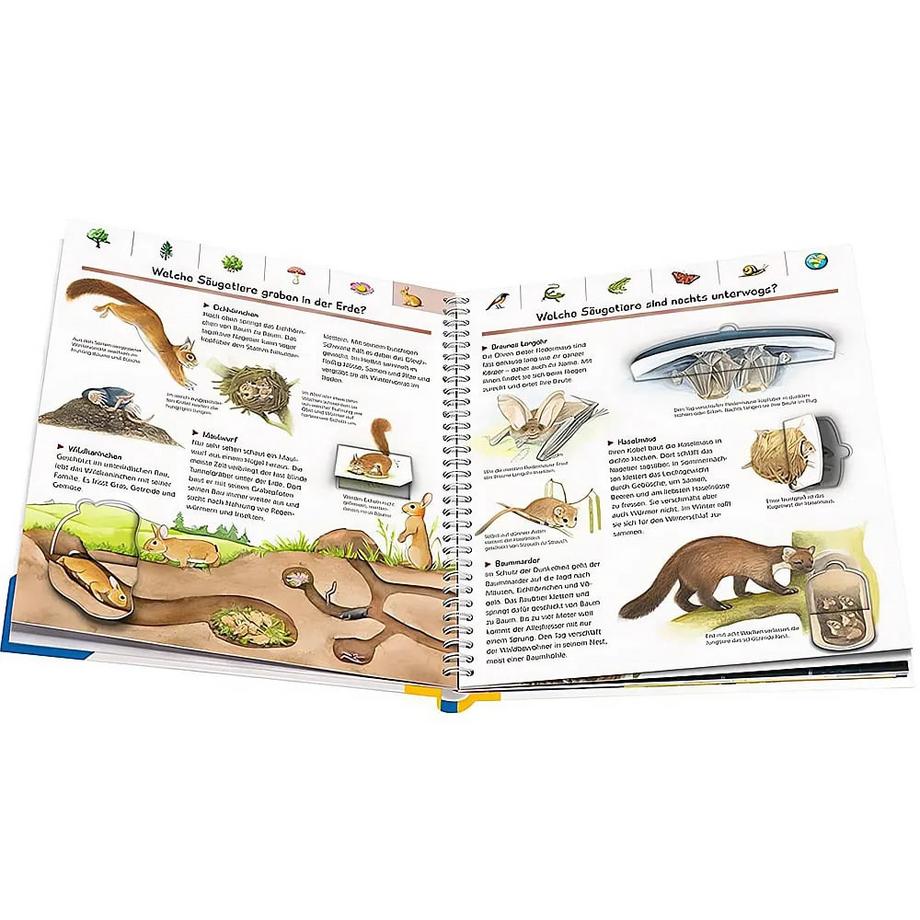 Wieso? Weshalb? Warum?: Mein großes Natur-Lexikon Noa, Sandra; von Hacht, Esther (Illustrationen); Henkel, Christine (Illustrationen); Walentowitz, Steffen (Illustrationen); Pahlke, Tobias (Illustrationen) Gebundene Ausgabe 