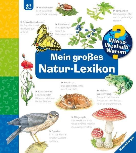 Wieso? Weshalb? Warum? Mein grosses Natur-Lexikon Noa, Sandra; von Hacht, Esther (Illustrationen); Henkel, Christine (Illustrationen); Walentowitz, Steffen (Illustrationen); Pahlke, Tobias (Illustrationen) Copertina rigida 