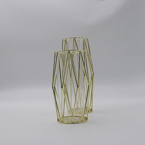 Alopini 2Pcs/Set Vase Für Pampasgras, Glasgoldvase Hochbodenvase Mit Geometrischem Metallgestellständer  