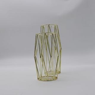 Alopini 2Pcs/Set Vase Für Pampasgras, Glasgoldvase Hochbodenvase Mit Geometrischem Metallgestellständer  