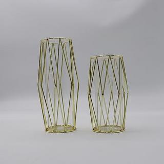 Alopini 2Pcs/Set Vase Für Pampasgras, Glasgoldvase Hochbodenvase Mit Geometrischem Metallgestellständer  