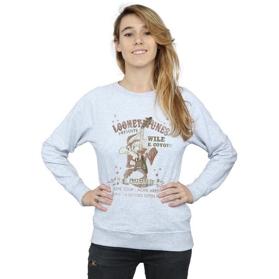 LOONEY TUNES Wile E Coyote Sweatshirt  