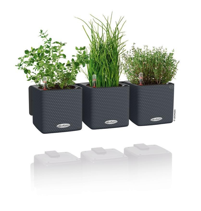 Lechuza Green Wall Home Kit  