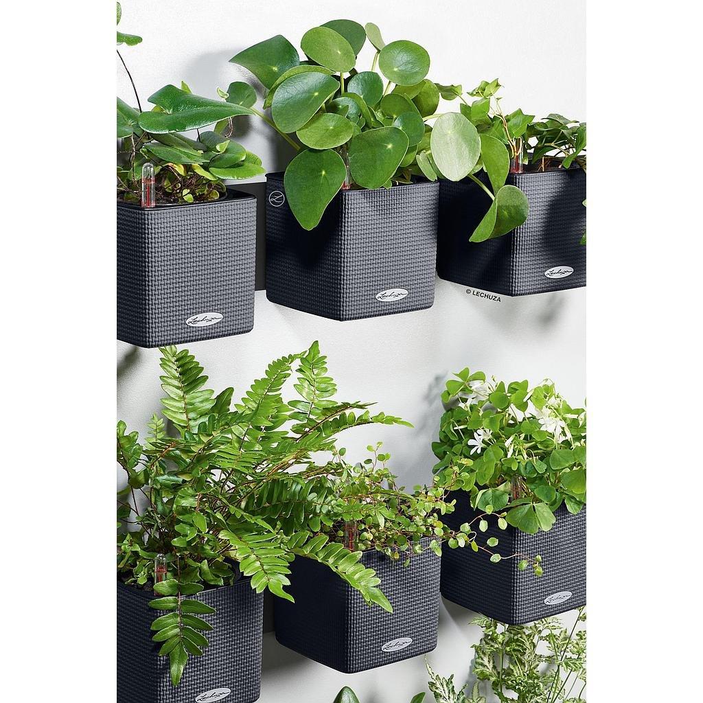 Lechuza Green Wall Home Kit  