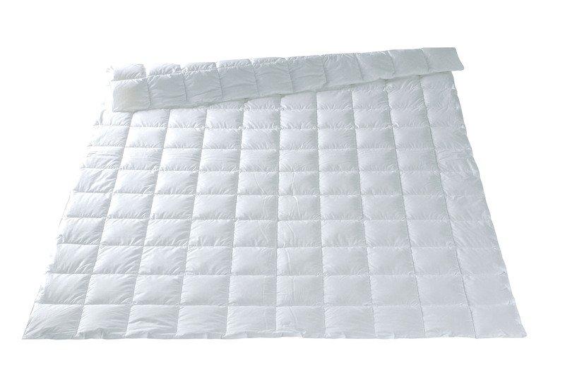 Image of Leicht-Duvet Daunen, EIDERDAUNEN Leicht-Duvet Daunen, EIDERDAUNEN
