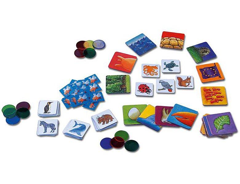 Kosmos  Kosmos 699130 gioco da tavolo Apprendimento 