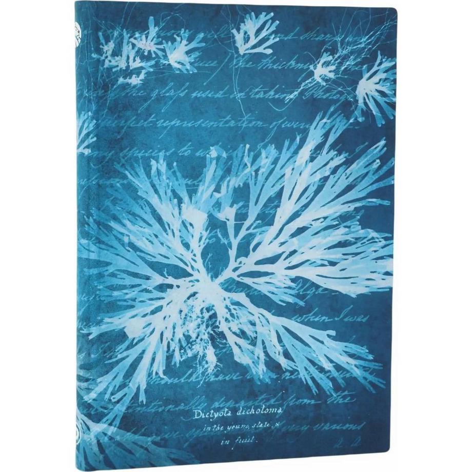 Paperblanks Carnet  Fleurs de Mer, vierge  