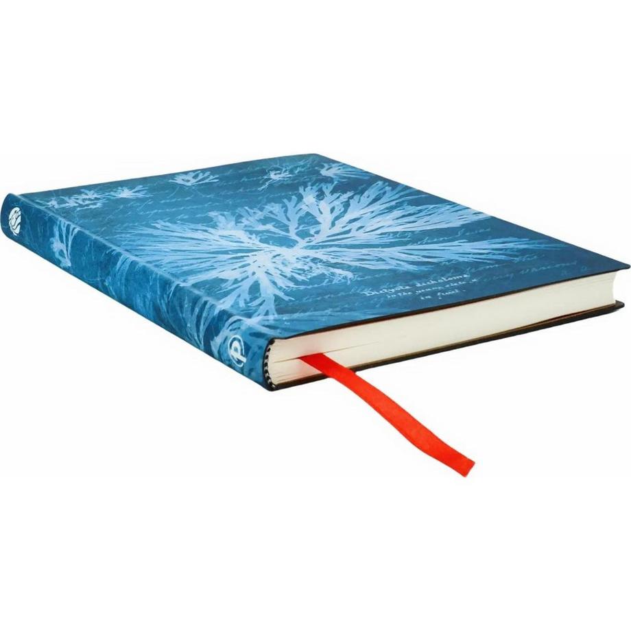 Paperblanks Carnet  Fleurs de Mer, vierge  