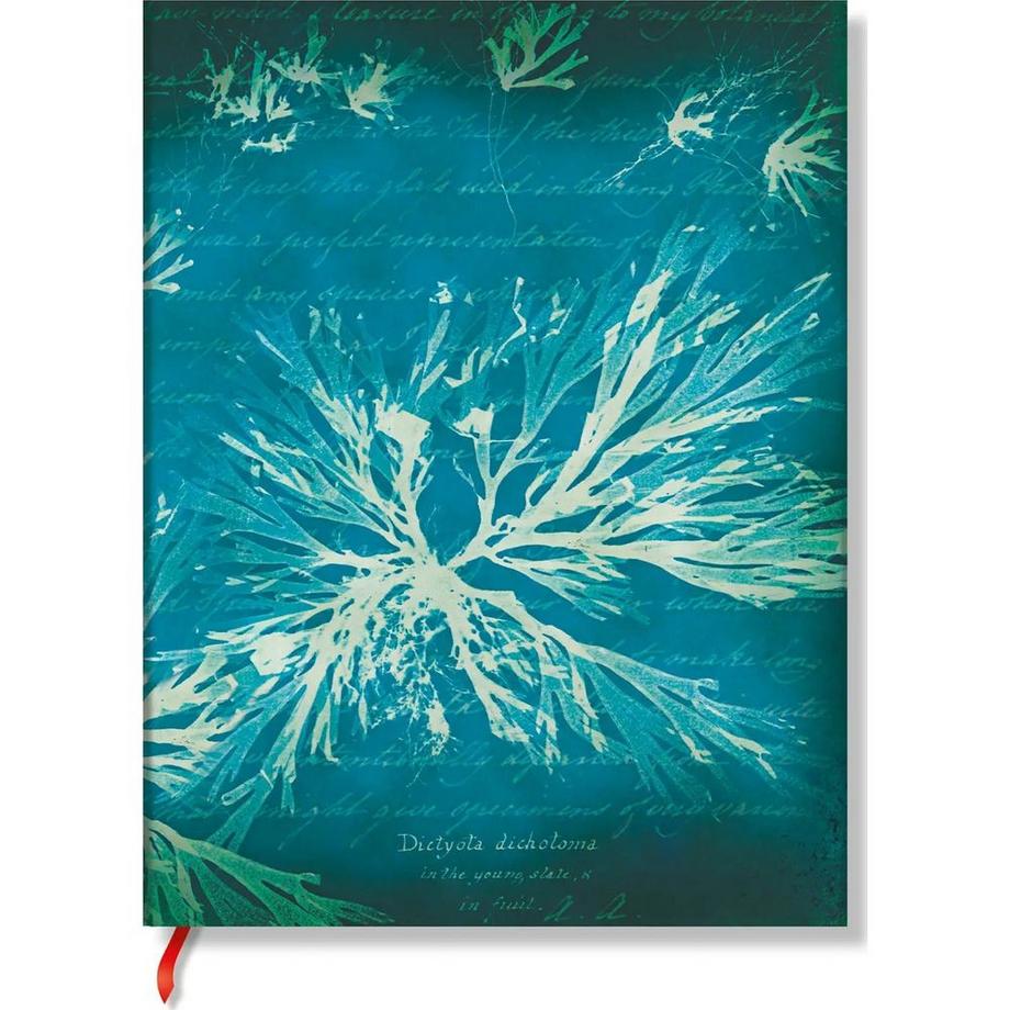 Carnet  Fleurs de Mer, vierge
