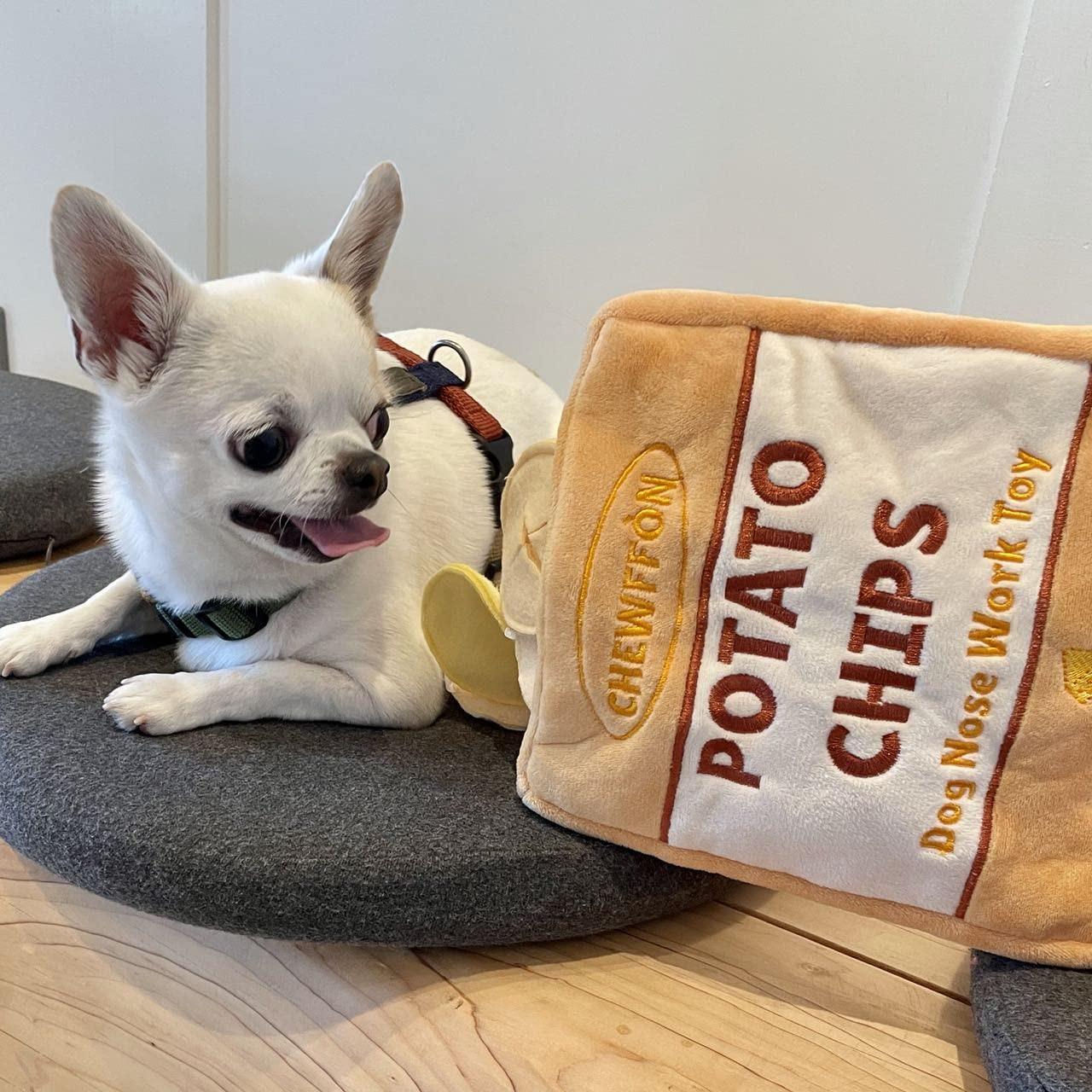 Activity-board  Interaktives Intelligenzspielzeug für Welpen und Hunde 