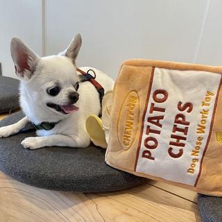 Activity-board  Interaktives Intelligenzspielzeug für Welpen und Hunde 